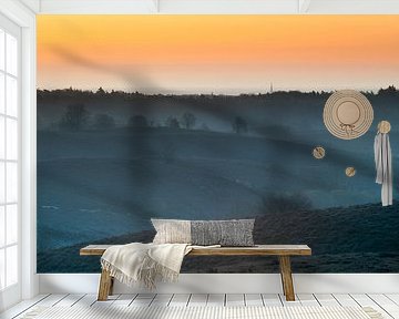 Veluwe Früh von Ron Buist