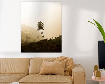 Palm trees in sandstorm by mitevisuals