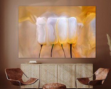 Magical white tulips on a bed of gold by Jenco van Zalk