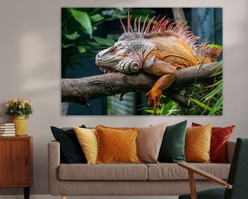 A colourful iguana by Joost Potma