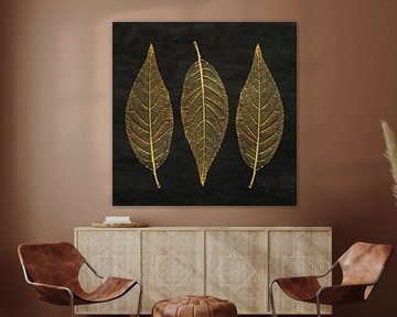 Drie bladeren in goud op zwarte achtergrond van Western Exposure