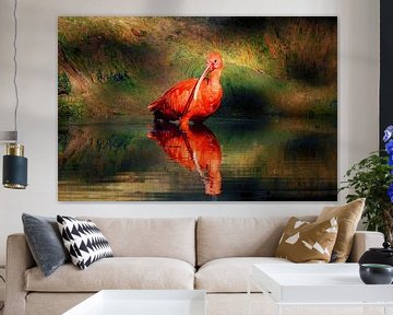 De rode ibis van Maickel Dedeken