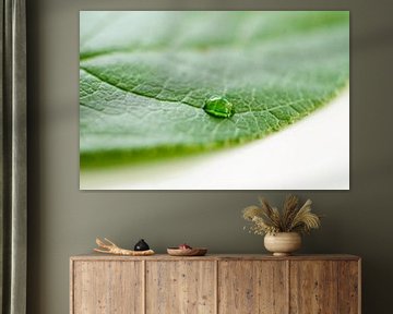 Groen blad met waterdruppel van Ricardo Bouman