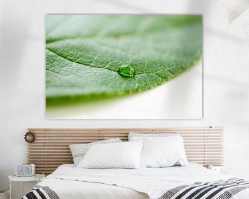 Grünes Blatt mit Wassertropfen von Ricardo Bouman Fotografie