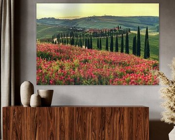 Italië Toscane landschap bij zonsondergang van Jean Claude Castor