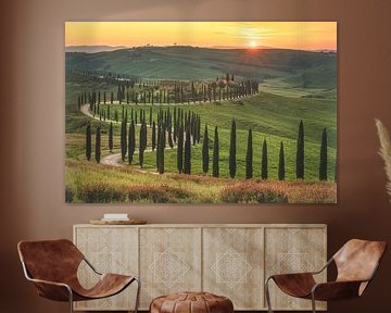 Italië Toscane Cipressen bij zonsondergang van Jean Claude Castor