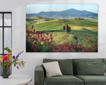 Italië Toscane Heuvelachtig landschap bij Pienza van Jean Claude Castor