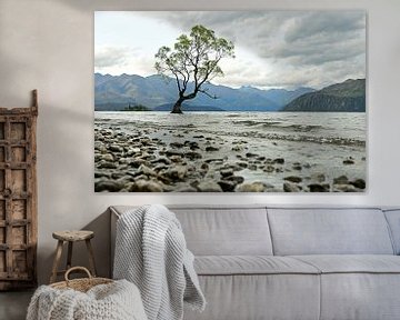Wanaka-Baum in Neuseeland von Renzo de Jonge