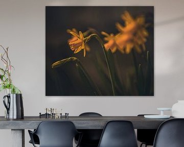 De paasbloemen op zijn best van Robby's fotografie