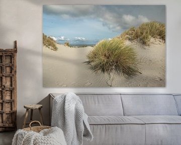 plage, mer et dunes de l'Ameland, l'ammophile sur M. B. fotografie