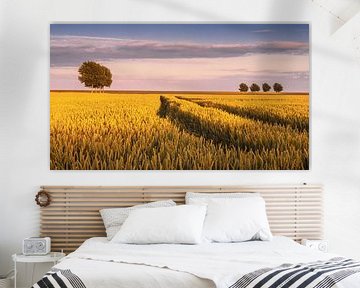 Trees among the grain in the Johannes Kerkhoven polder in Groningen by Marga Vroom