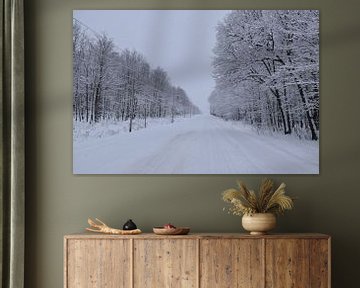 Eine Landstraße im Winter von Claude Laprise