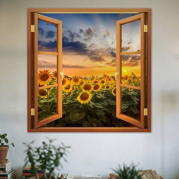 Vue sur Tournesol au coucher du soleil