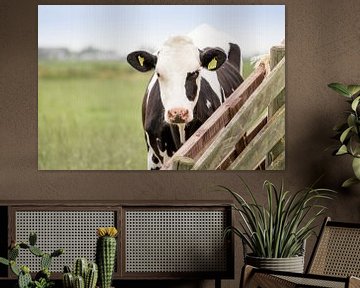 Vache dans un pré près d'une clôture sur Esther Rollema Fotografie