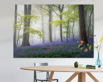 Fairytale forest with bunch of hyacinths