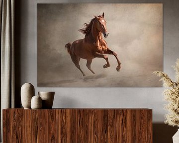 Portrait d'un cheval bai | photographie de cheval sur Laura Dijkslag