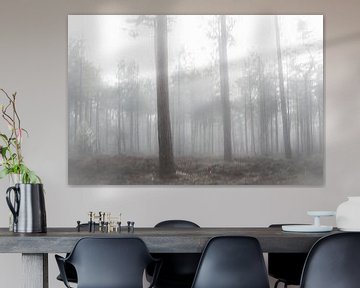 Des arbres dans le brouillard sur Fotografie Jeronimo