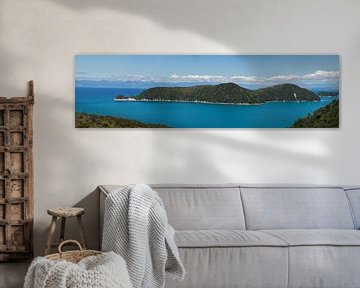 Panorama op Motuareronui / Adele Island van Bart van Wijk Grobben