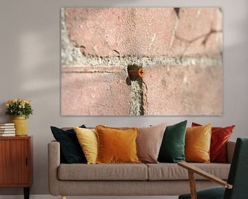 Roestige schroef in oude bakstenen muur van Bart van Wijk Grobben