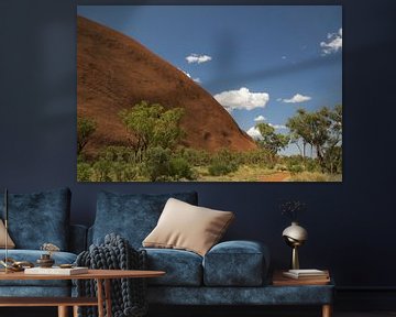 Detailed view of Uluru Ayers Rock Australia by Bart van Wijk Grobben