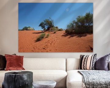 Dune de sable rouge dans l'Outback australien sur Bart van Wijk Grobben