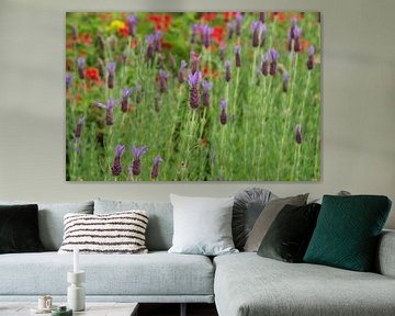 Field of flowers with lavender by Bart van Wijk Grobben