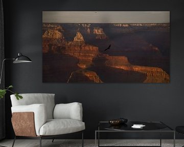 Grand Canyon met Condor van Bart van Wijk Grobben