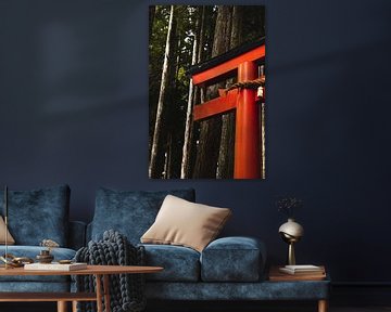 Torii japonais dans la forêt près de Koyasan. sur Erik de Witte