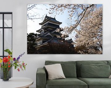 Black castle, Matsumoto by Erik de Witte