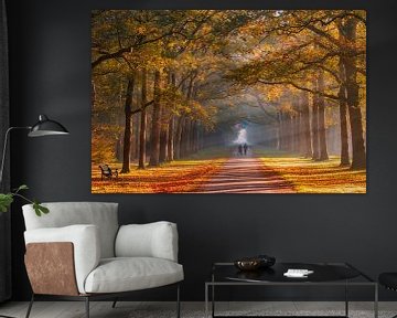 ein magischer Herbstspaziergang entlang der Koningslaan mit Sonnenstrahlen im Morgennebel in Apeldoorn crown domains the Loo von Patrick Oosterman