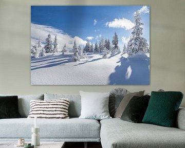 Winterlandschap "Winter Wonderland" van Coen Weesjes