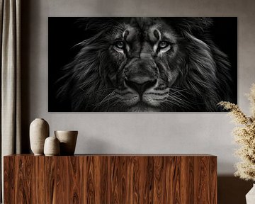 Lion in black and white by Imagine