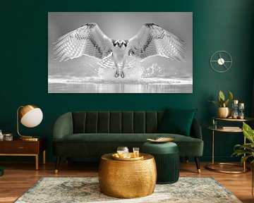 Der symetrische Fischadler in Kurzform von Karina Brouwer