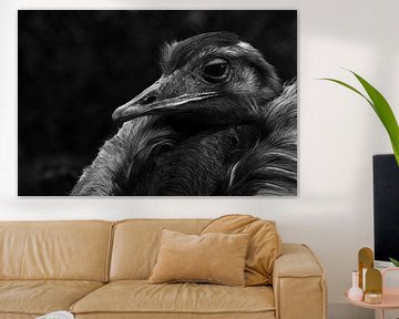 Struisvogel van Leon Buijs