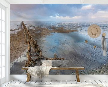 Wadden coast by Ton Drijfhamer