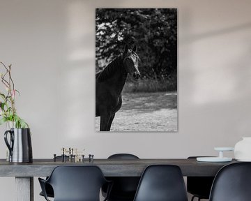 Tin of Thought - Porträt eines schwarzen Pferdes von Femke Ketelaar