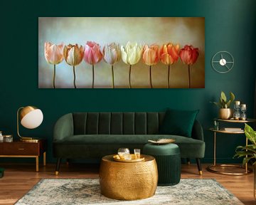Tulips Panorama by Dakota Wall Art