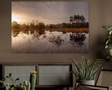 Sonnenaufgang über der Heide und den Wäldern von Den Treek von Henk Boerman