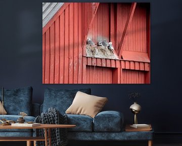 Echt Scandinavisch