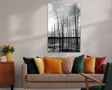 Bomen van Lieke Doorenbosch