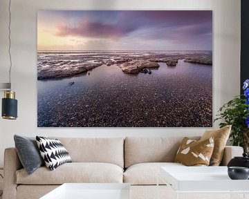 Shells and mud on the Frisian Wadden coast