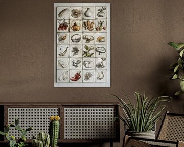 Old white Dutch tiles with food print for the wall