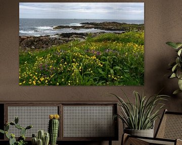 Flower meadow on the coast by Bettina Schnittert