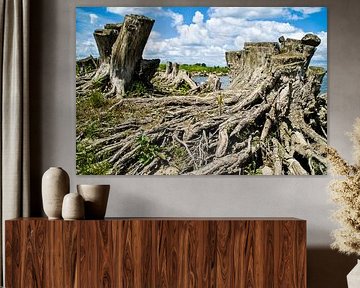 Landschap