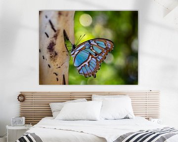 Prachtige vlinder op een tak van Daniëlle Langelaar Photography