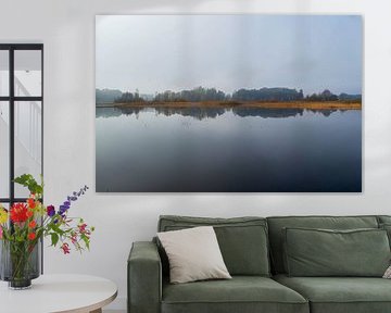 Symmetry by reflection by Leon Exterkate