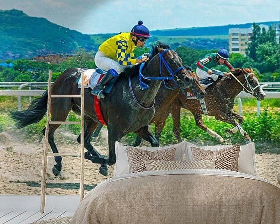 Aperçu de la chambre