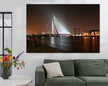Schwan - Erasmusbrücke Rotterdam von Jasper Hovenga