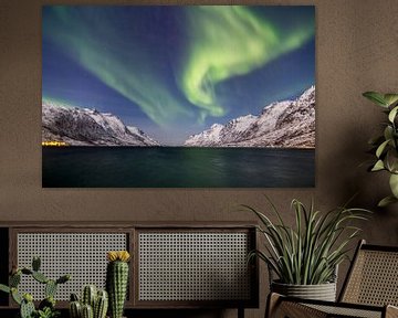 Northern Lights, Ersfjord. van Freek van den Driesschen