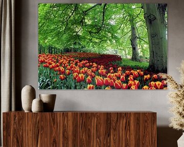 Tulpenveld slingerend onder de bomen van de Keukenhof van Albert van Dijk